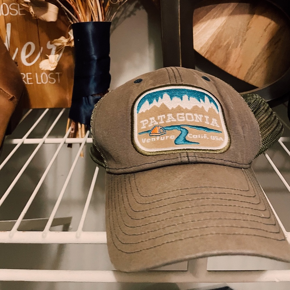 Patagonia trucker hat